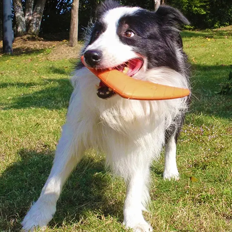 EVA Pet Dart: ຄູ່ມືພາກປະຕິບັດເພື່ອເລືອກເຄື່ອງຫຼິ້ນໝາທີ່ປອດໄພ ແລະມ່ວນຊື່ນ